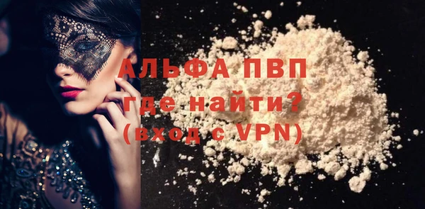 индика Краснослободск