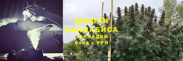 PSILOCYBIN Алексеевка