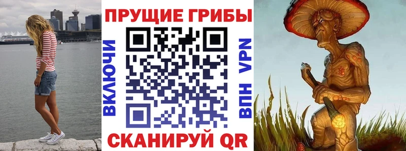 Псилоцибиновые грибы мицелий  купить   Чёрмоз 